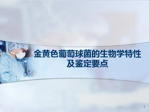 金黄色葡萄球菌的生物学特性PPT课件
