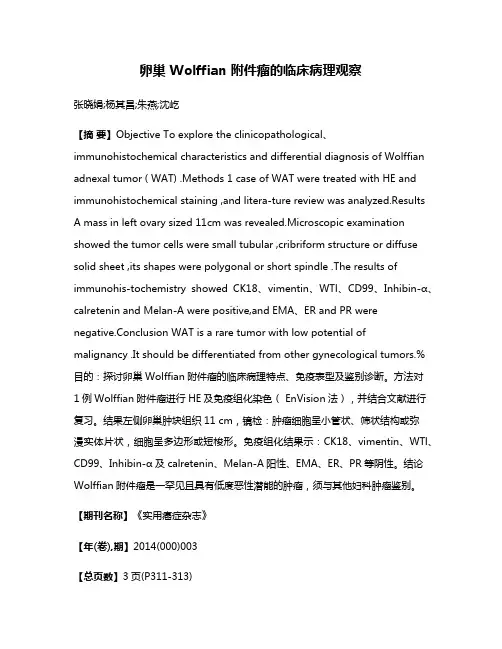 卵巢 Wolffian 附件瘤的临床病理观察