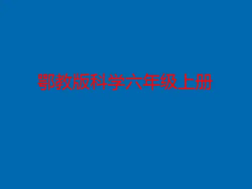 鄂教版六年级科学上册《唐山地震》PPT课件