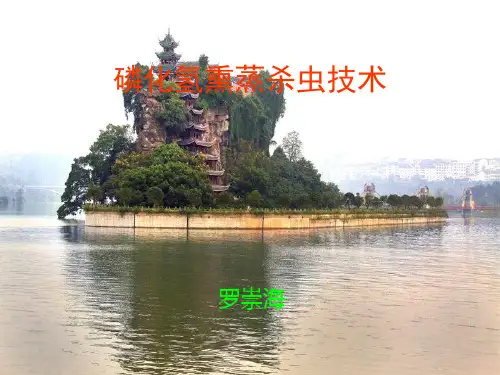 磷化氢熏蒸杀虫技术