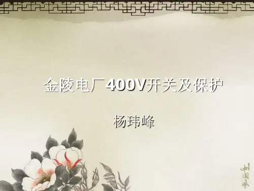 400V开关及保护杨玮峰