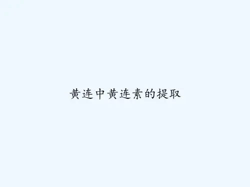 黄连中黄连素的提取 PPT