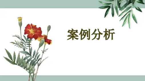 刑法案例分析方法
