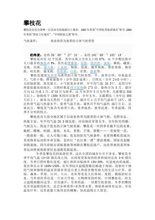 攀枝花介绍