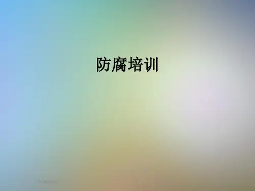 防腐培训