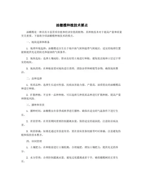 油橄榄种植技术要点