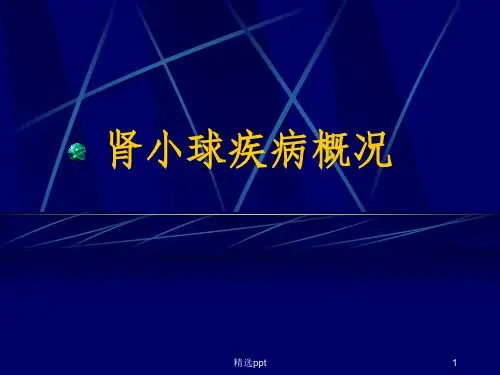 《肾小球疾病概况》PPT课件