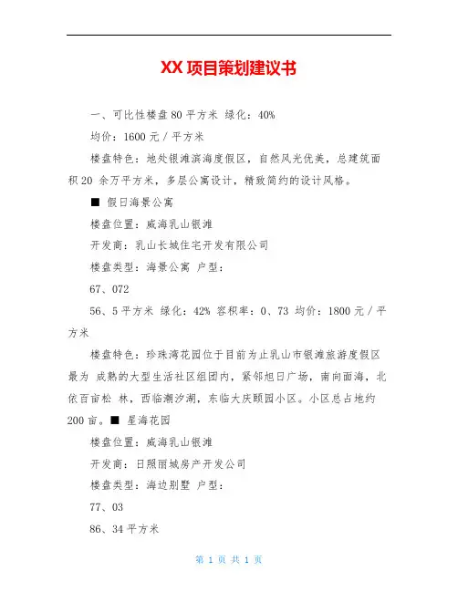 XX项目策划建议书