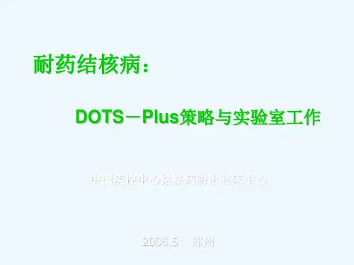 耐药结核病