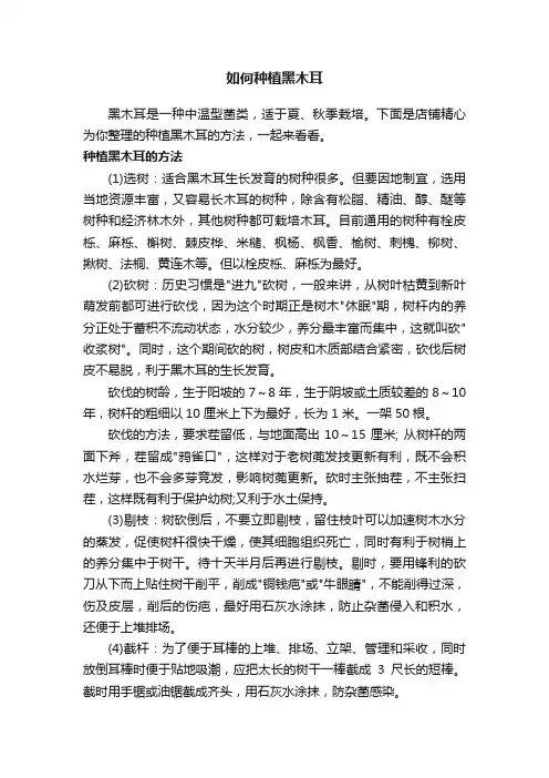 如何种植黑木耳