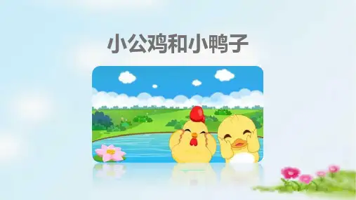 4小公鸡和小鸭子 课件(共31张PPT).ppt