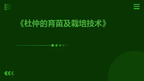 杜仲的育苗及栽培技术