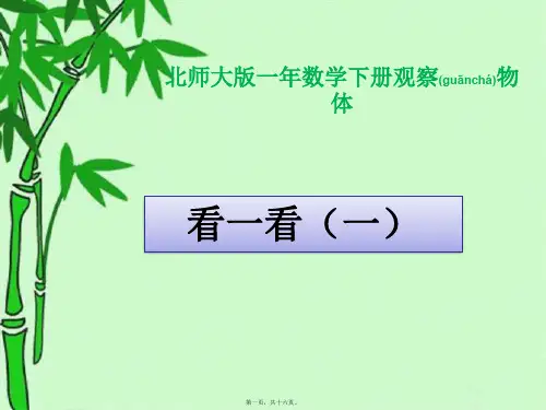 北师大版数学一年级下册《观察物体(看一看)一》PPT课件