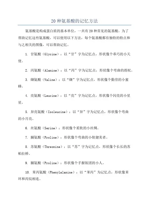 20种氨基酸的记忆方法