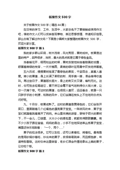 关于板栗作文500字（精选44篇）