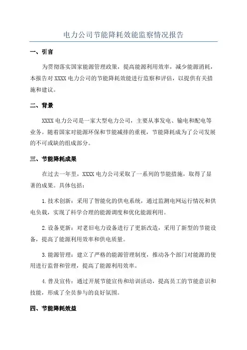电力公司节能降耗效能监察情况报告