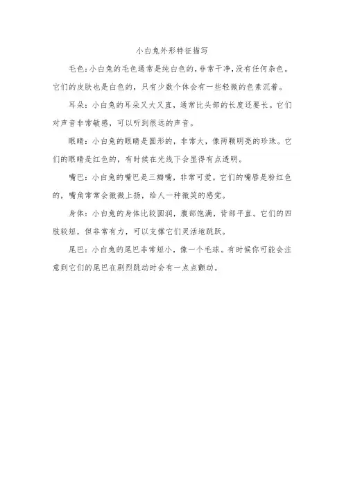小白兔外形特征描写