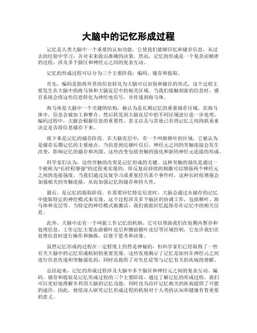 大脑中的记忆形成过程