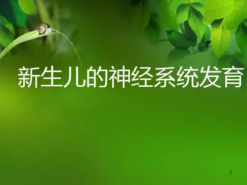 新生儿的神经系统发育精品PPT课件