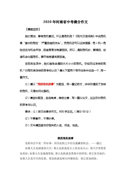 2020年河南省中考满分作文《我的危机故事》4