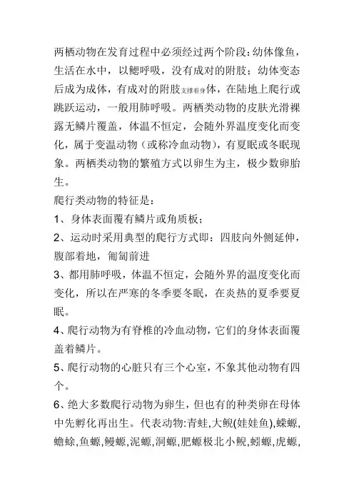 爬行动物和两栖动物的区别