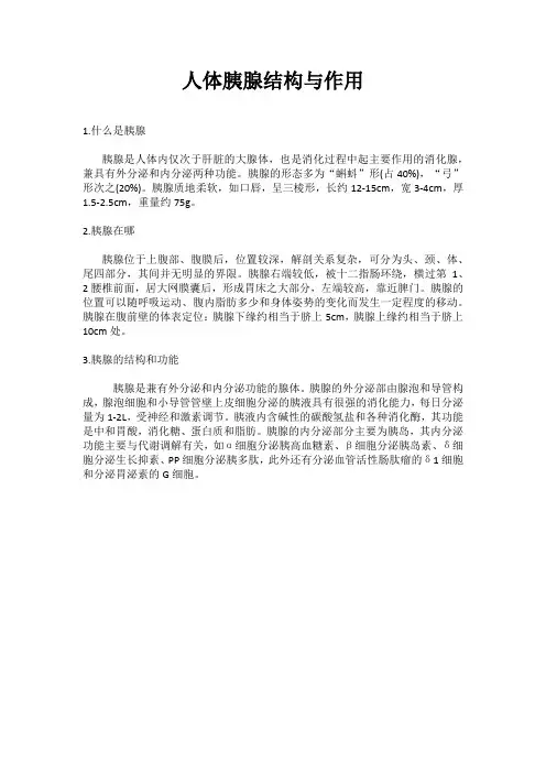 人体胰腺结构与作用