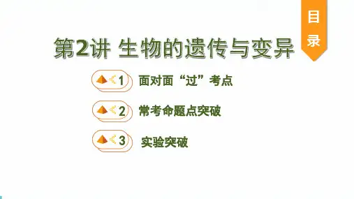 中考生物培优复习课件 第七单元 生物圈中生命的延续和发展第2讲 生物的遗传与变异(人教通用版)