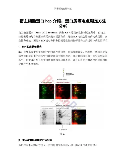 宿主细胞蛋白hcp介绍：蛋白质等电点测定方法分析