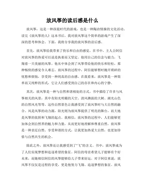 放风筝的读后感是什么