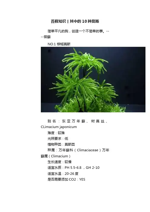 苔藓知识丨其中的10种莫斯
