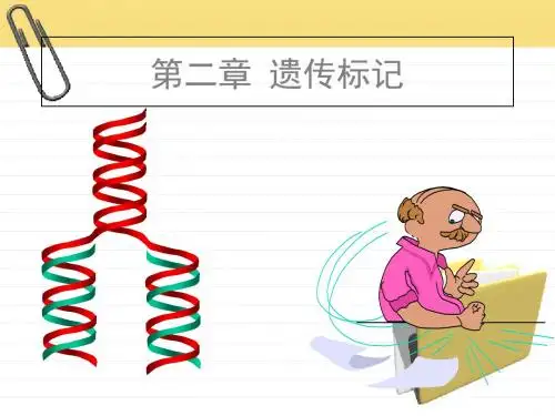 第二章遗传标记1 52页PPT文档