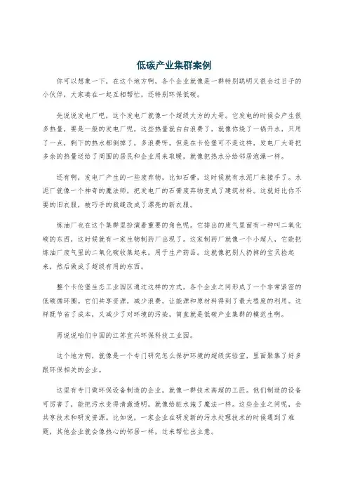 低碳产业集群案例