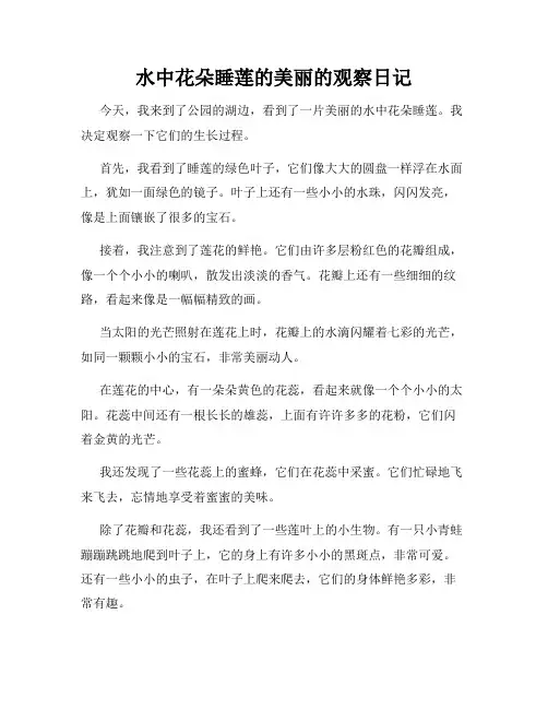 小学三年级作文水中花朵睡莲的美丽的观察日记