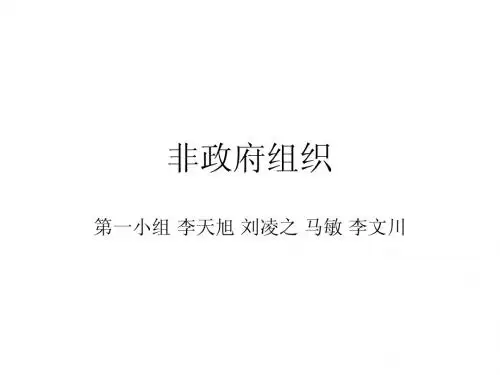 非政府组织