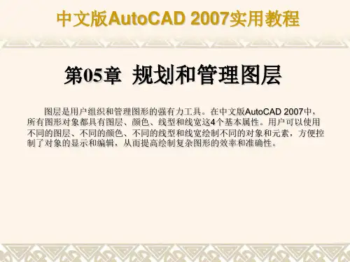 CAD2007图层管理办法