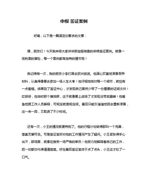 申根 签证案例