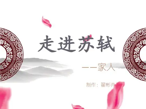 走进苏轼——家人.概要