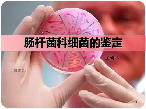 肠杆菌科细菌的鉴定PPT课件