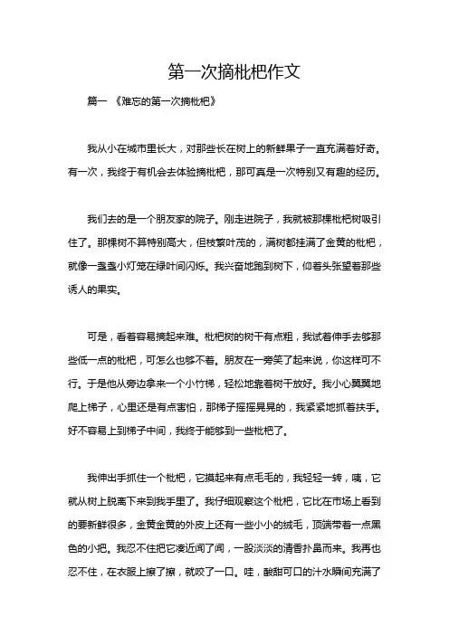 第一次摘枇杷作文