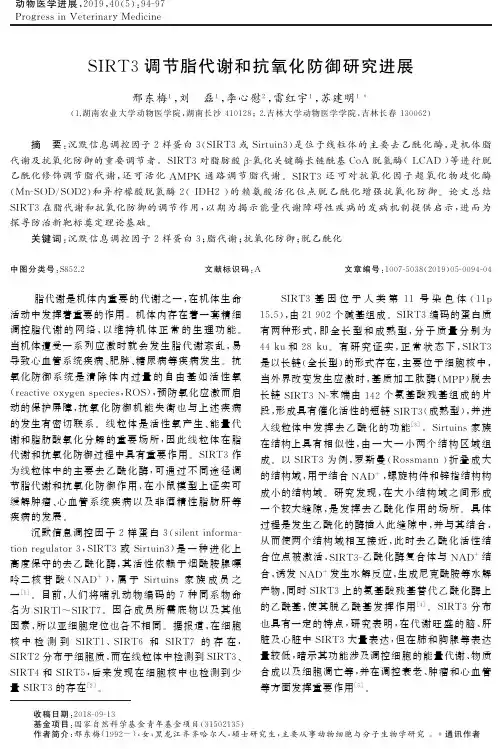 SIRT3调节脂代谢和抗氧化防御研究进展