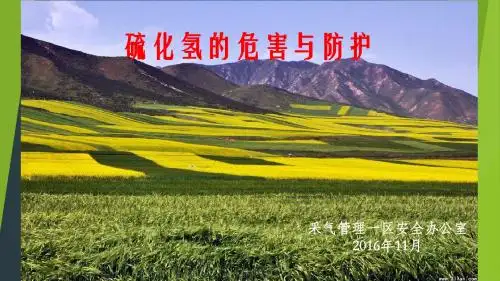 硫化氢培训课件(修改后)