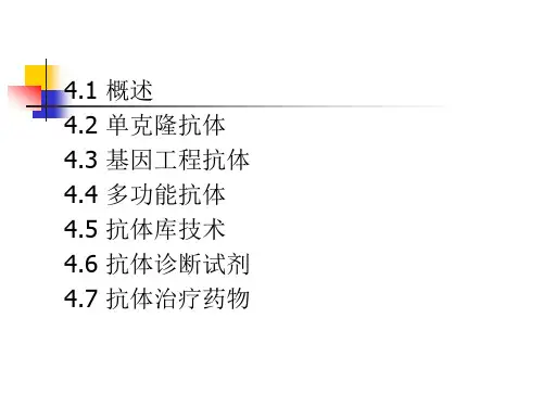 生物化学4抗体制药ppt课件