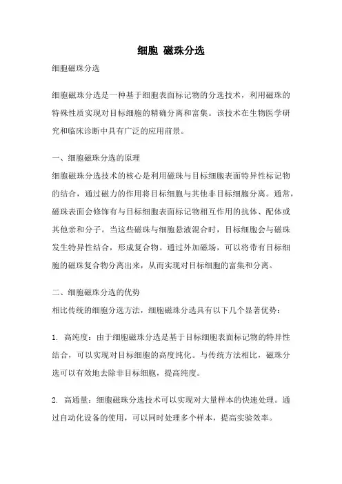 细胞 磁珠分选