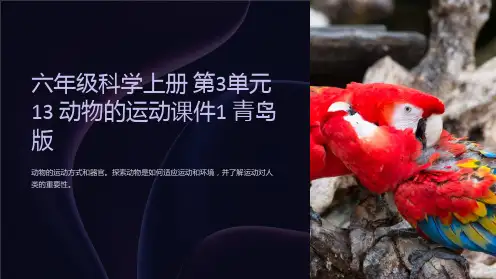 六年级科学上册 第3单元 13 动物的运动课件1 青岛版