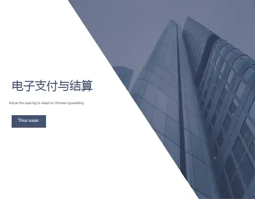 电子支付与结算