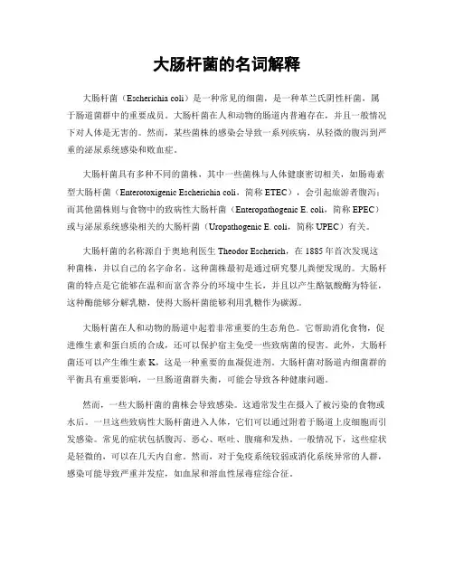 大肠杆菌的名词解释