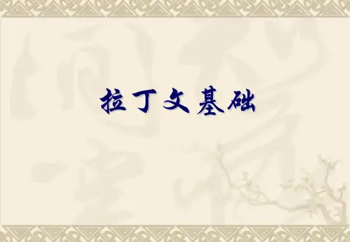 拉丁语基础