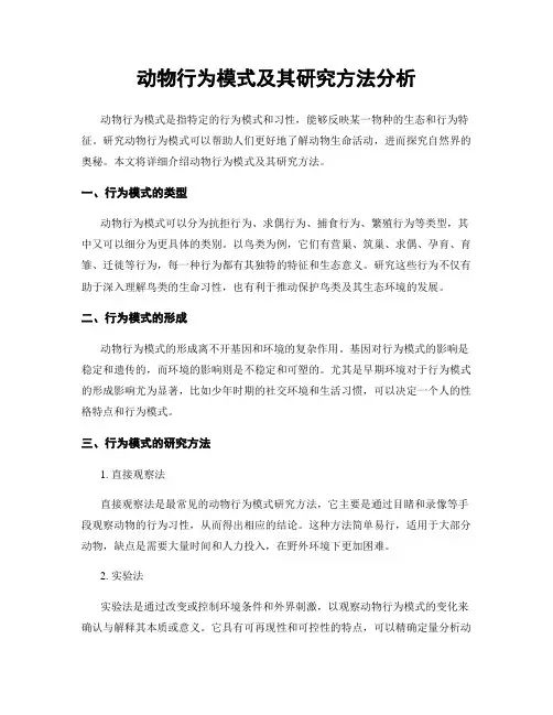 动物行为模式及其研究方法分析