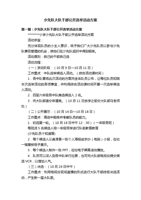 少先队大队干部公开选举活动方案