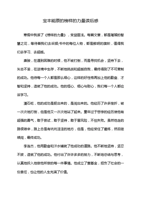 宝丰能原的榜样的力量读后感